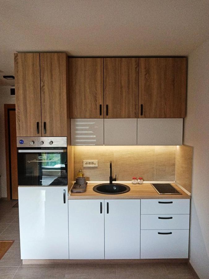 Studio Apartman Gorski Kristal زلاتيبور المظهر الخارجي الصورة